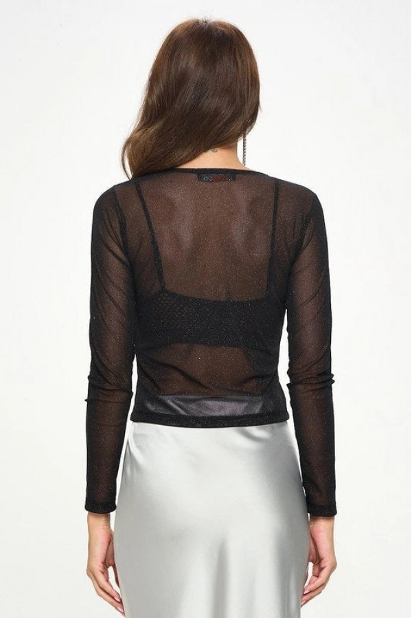 Sheer Stretch Mesh Long Sleeve Top