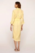 Topacio Button Down Dress - Image 3