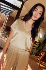 Sheer V Neck Top - Image 2